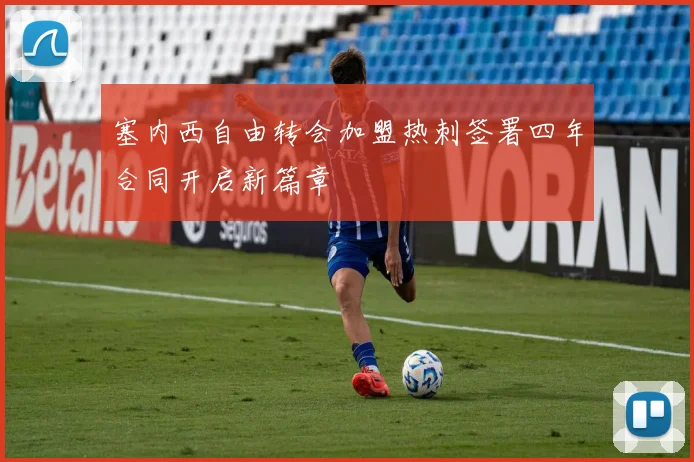塞内西自由转会加盟热刺签署四年合同开启新篇章
